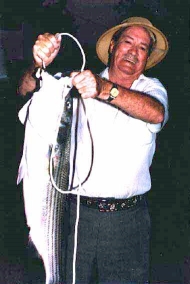 Daily catch on Lake Buchanan